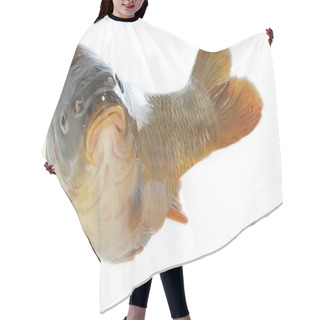 Personality  Carp In Jump Hair Cutting Cape