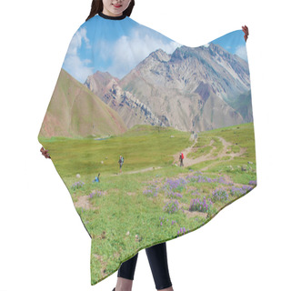 Personality  Horcones Valley, Aconcagua National Park Hair Cutting Cape