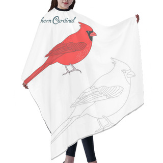 Personality  Educational Game Connect Dots Draw Cardinal Bird Hair Cutting Cape