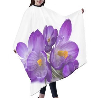 Personality  Crocus - One Of The First Spring Flowers On White Background Hair Cutting Cape