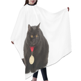 Personality  Studio Shot Of Black British Shorthair Cat With Golden Medal Isolated On White Background  Hair Cutting Cape