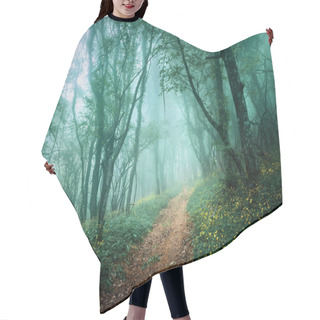 Personality  Road Through A Mysterious Dark Forest In Fog With Green Leaves A Hair Cutting Cape