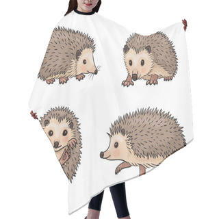Personality  Cute Hedgehogs. Vector Illustration. EPS8 Hair Cutting Cape