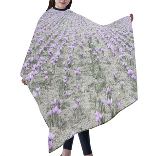 Personality  Saffron Flowers On The Field Hair Cutting Cape