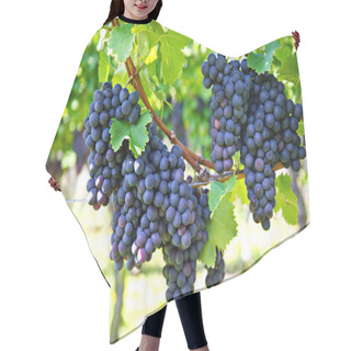 Personality  Purple Red Grapes With Green Leaves Hair Cutting Cape