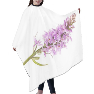 Personality  Wild Orchid Hair Cutting Cape
