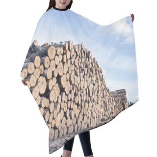 Personality  Cut Tree Logs Stack On Field Hair Cutting Cape