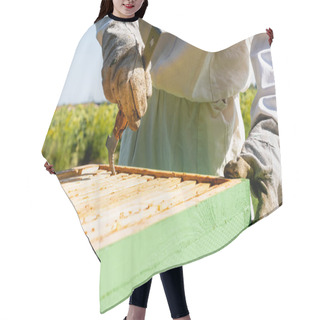 Personality  Cropped View Of Beekeeper Inspecting Beehive With Frame Gripper  Hair Cutting Cape