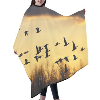 Personality  Snow Geese At Sunset Hair Cutting Cape