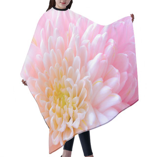 Personality  Close Up Image Of The Beautiful Pink Chrysanthemum Flower Hair Cutting Cape