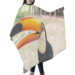 Personality  One Toucan Closeup Hair Cutting Cape