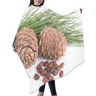 Personality  Cedar Cones With Nuts Hair Cutting Cape
