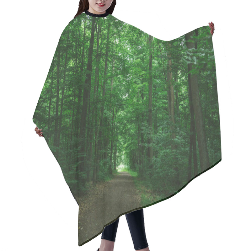 Personality  path in green dark forest in Wurzburg, Germany hair cutting cape