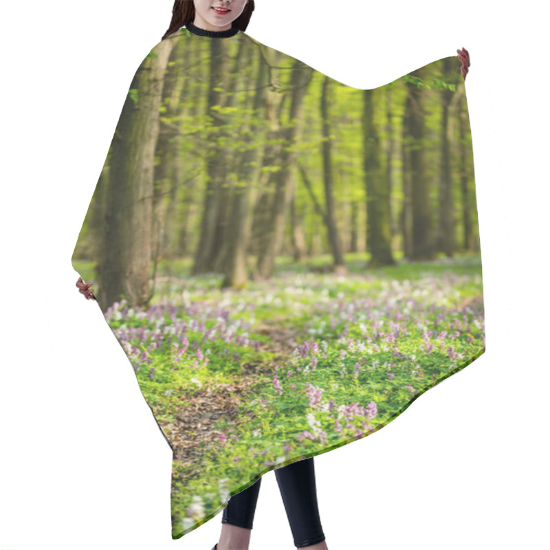 Personality  Footpath Through The Spring Forest Full Of Blooming Hollowroot Flowers Hair Cutting Cape