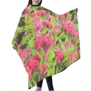 Personality  Plumed Cockscomb Blossom Hair Cutting Cape