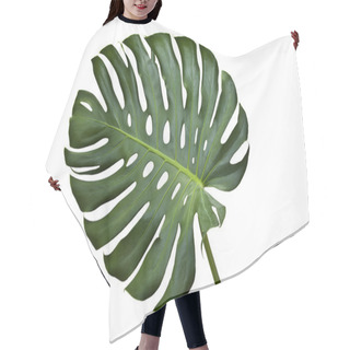 Personality  Monstera Hair Cutting Cape
