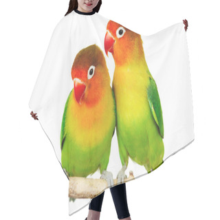 Personality  Pair Of Lovebirds Hair Cutting Cape