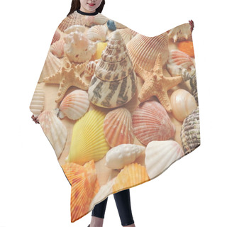 Personality  Bright Colored Sea Shell Background. Hair Cutting Cape