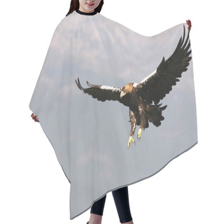 Personality  Spanish Imperial Eagle Adult Female Flyin On A Mediterranean Hill On A Sunny Day Hair Cutting Cape