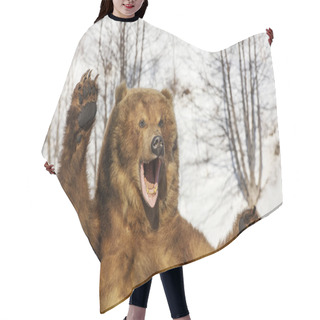 Personality  Taxidermy Of A Kamchatka Brown Bear In Forest Hair Cutting Cape