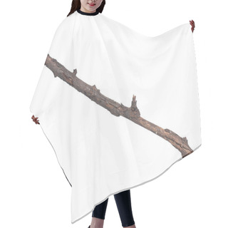 Personality  Dry Tree Branch On White Hair Cutting Cape