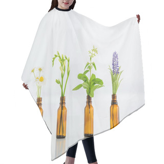 Personality  Chamomile, Freesia, Salvia And Hyacinth Flowers In Glass Bottles On White Background Hair Cutting Cape