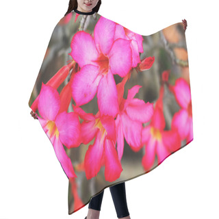 Personality  Impala Lily Adenium - Pink Flowers Hair Cutting Cape