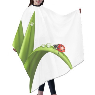 Personality  Ladybird Hair Cutting Cape