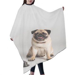 Personality  Purebred Pug Dog In Collar Sitting Near Stainless Bowl On Grey Background  Hair Cutting Cape