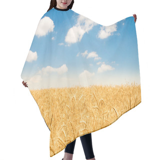 Personality  Wheat Field On The Bright Day Hair Cutting Cape