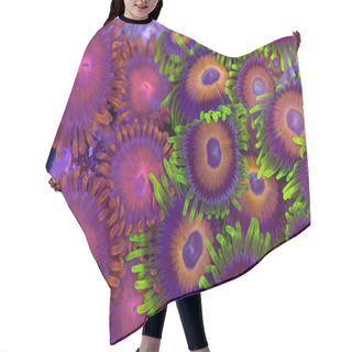Personality  Contrasing Zoanthids Hair Cutting Cape