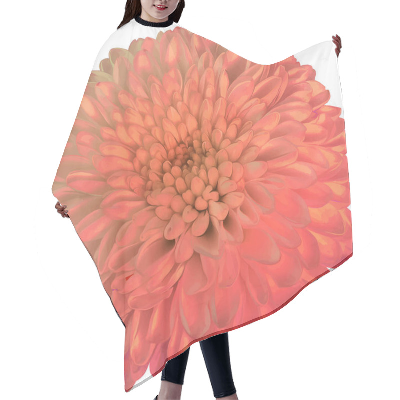 Personality  Beautiful Hrizantenium Flower Hair Cutting Cape