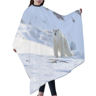 Personality  Polar Bear In The Snow (Ursus Maritimus) Hair Cutting Cape
