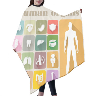 Personality  Icons Of Human Organs Hair Cutting Cape