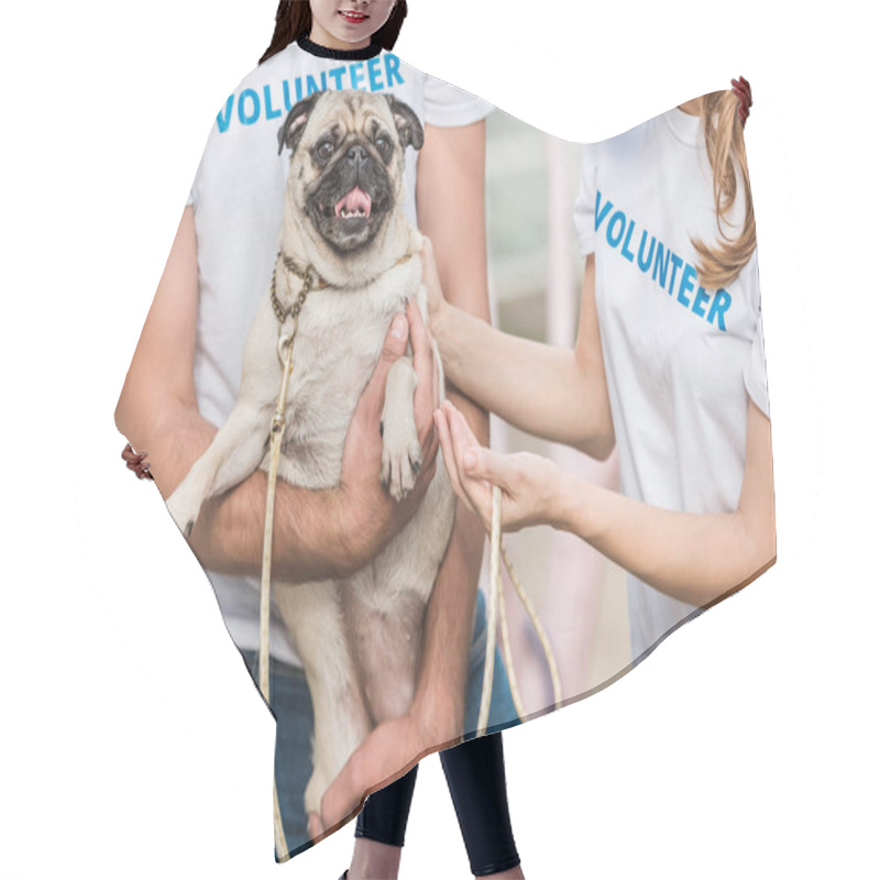 Personality  Cropped Image Of Two Volunteers Of Animals Shelter Holding Pug Dog Hair Cutting Cape