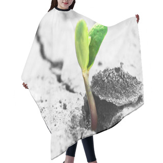 Personality  New Life Hair Cutting Cape