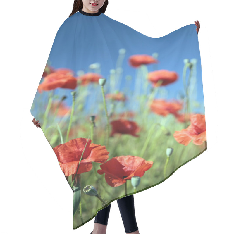 Personality  Summer Field Of Red Flowers Hair Cutting Cape