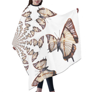 Personality  Kaleidoscopic Butterflies Illustration Hair Cutting Cape
