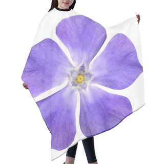 Personality  Purple Flower - Periwinkle - Vinca Minor - Isolated On White Hair Cutting Cape
