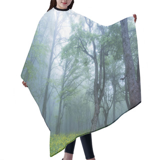 Personality  Forest In The Fog Hair Cutting Cape