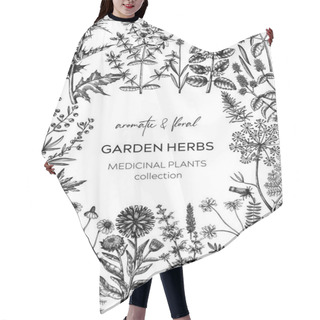 Personality  Vintage Herbs Card Or Invitation. Aromatic Plants Frame In Sketched Style. Botanical Design For Cosmetics, Herbal Medicine, Herbal Tea Ingredients. Floral Banner Hair Cutting Cape