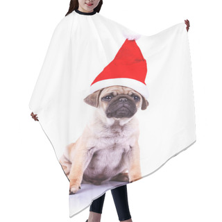 Personality  Pug Puppy Wearing A Santa Hat Hair Cutting Cape