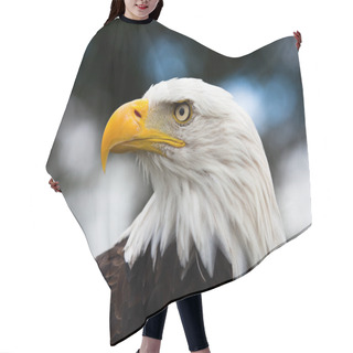 Personality  Eagle Close-up Hair Cutting Cape