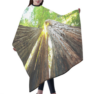 Personality  Sequoya Hair Cutting Cape