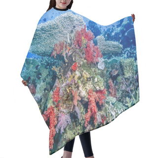 Personality  Coral Reef Fiji Hair Cutting Cape