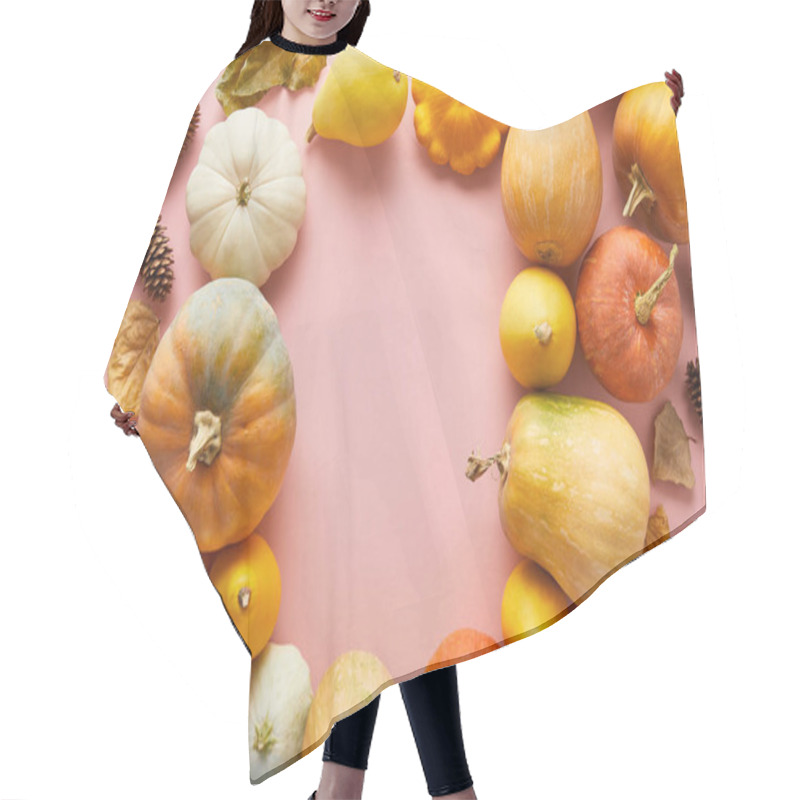 Personality  ripe whole colorful pumpkins and autumnal decor on pink background with copy space hair cutting cape