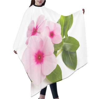 Personality  Madagascar Periwinkle Flowers Isolated On White Background Hair Cutting Cape