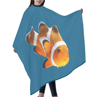 Personality  Clown Fish Or Anemone Fish Hair Cutting Cape