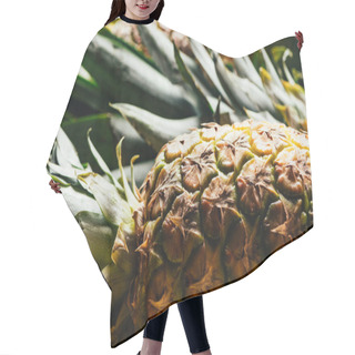 Personality  Selective Focus Of Fresh Ripe Pineapple With Green Leaves Hair Cutting Cape