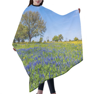 Personality  A Wide Angle View Of A Beautiful Field Blanketed With The Famous Texas Bluebonnets. Hair Cutting Cape